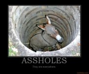 assholes-donkey-ass-hole-asshole-demotivational-poster-1220075234.jpg