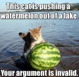 argument-invalid.jpg