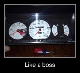 like-a-boss.jpg