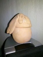 kevin.jpg