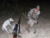 dog-humping-deer-1.jpg