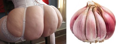 Garlic.jpg