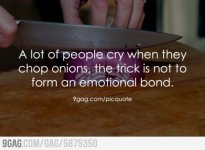 onion.jpg