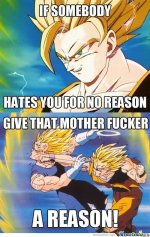 wise-goku_c_611154.jpg