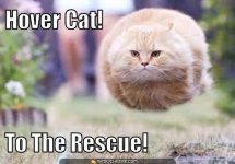 hover-cat-to-the-rescue-.jpg