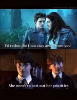 Oh-Ron-you-amuse-me-harry-potter-vs-twilight-17391520-452-590.jpg