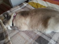 20121215_112438.jpg
