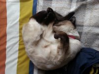 20121215_112403.jpg