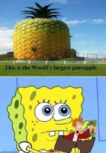 tumblr_m3w06jWmWO1rt08jvo1_500.jpg