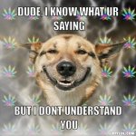 stoner-dog-meme-generator-dude-i-know-what-ur-saying-but-i-dont-understand-you-a8f2df.jpg