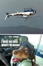 i-have-no-idea-what-im-doing-dog-flying-helicopter meme.jpg