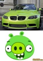 badpiggy.jpg