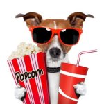 14355372-dog-watching-a-movie-with-popcorn-and-coke.jpg