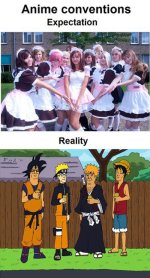 expectations-reality-anime-convention.jpg