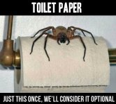 spider3.jpg