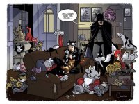 3aeab83e73ad4df192bf9cf4e0624080-catwoman-the-cat-lady.jpg