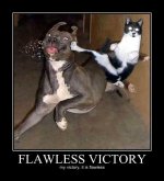 flawless-victory.jpg