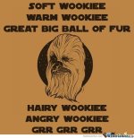 soft-wookie_o_1462283.jpg