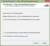 repair remove visual.jpg