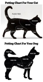 Petting-Chart-for-Your-Cat-and-Dog.jpg