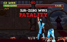 fatality.jpg
