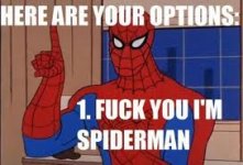 spiderman rule.jpg