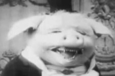 creepy_old_pig_face_by_theladyinred002-d4orxe5.jpg