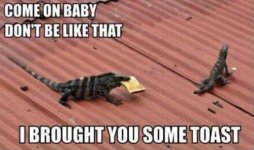 funny-captions-3.jpg