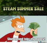 steam-summer-sale_o_592275.jpg