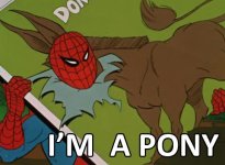 1-16-pony.jpg