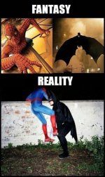 funny-Spiderman-Batman-fantasy-vs-reality_large.jpg