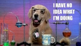 i-have-no-idea-what-im-doing-03.jpg i-have-no-idea-what-im-doing-03.jpg