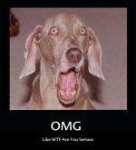 omgdog-resizecrop--.jpg