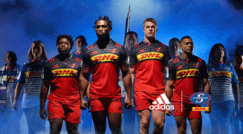 Stormers 2.gif Stormers 2.gif