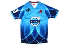 Waratahs.jpg Waratahs.jpg