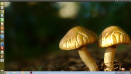 Desktop.jpg
