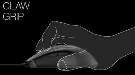 castor-claw.jpg castor-claw.jpg