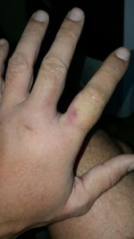 IMG-20160228-WA0015.jpg