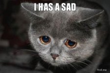 sad.jpg sad.jpg
