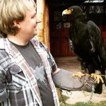 eagle.jpg