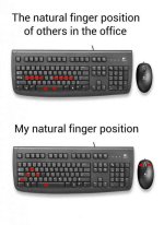 FB_IMG_1461143936608.jpg