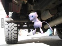 truck.jpg truck.jpg