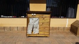 20160809_135217.jpg
