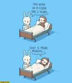 you-were-in-a-coma-for-2-years-just-5-more-minutes.jpg