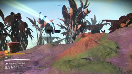 PLflyby.jpg