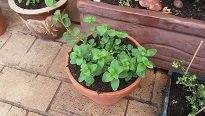20160921_113133.jpg