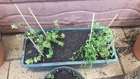 20160921_113137.jpg