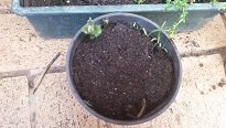 20160921_113139.jpg