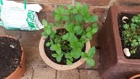 20160921_113143.jpg