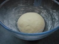 DSCN2482.jpg